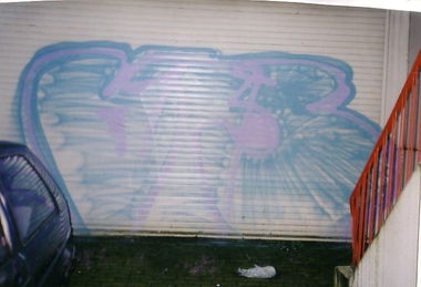 Graffiti Bombing - Photo by Nordpark - 613