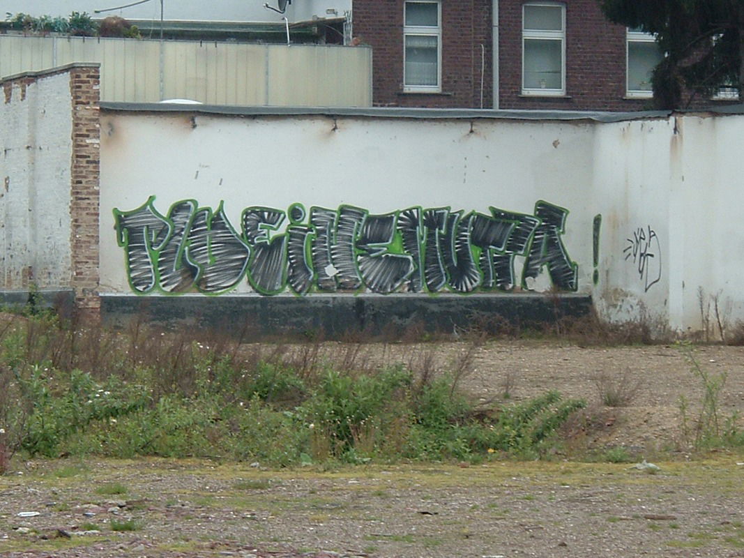 Graffiti Bombing - Photo by Nordpark - PLDeinemutta