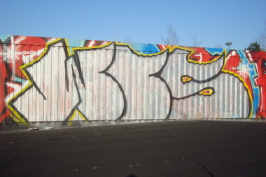 Graffiti Bombing - Photo by NowzaiinZ - Rooftop, spot, wos (2014)