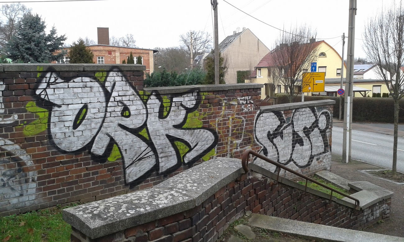 Graffiti Bombing - Photo by NoxikOKS - ORK, Susi (2015)