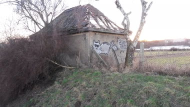 Graffiti Street Art - Photo by NoxikOKS - FurzaMiau, 315 (2016)