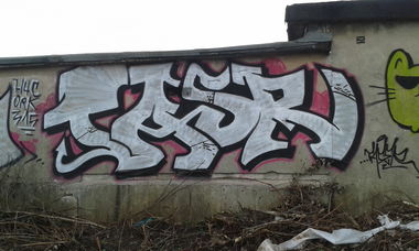 Graffiti Bombing - Photo by NoxikOKS - Tasr, Taser, H4C (2015)