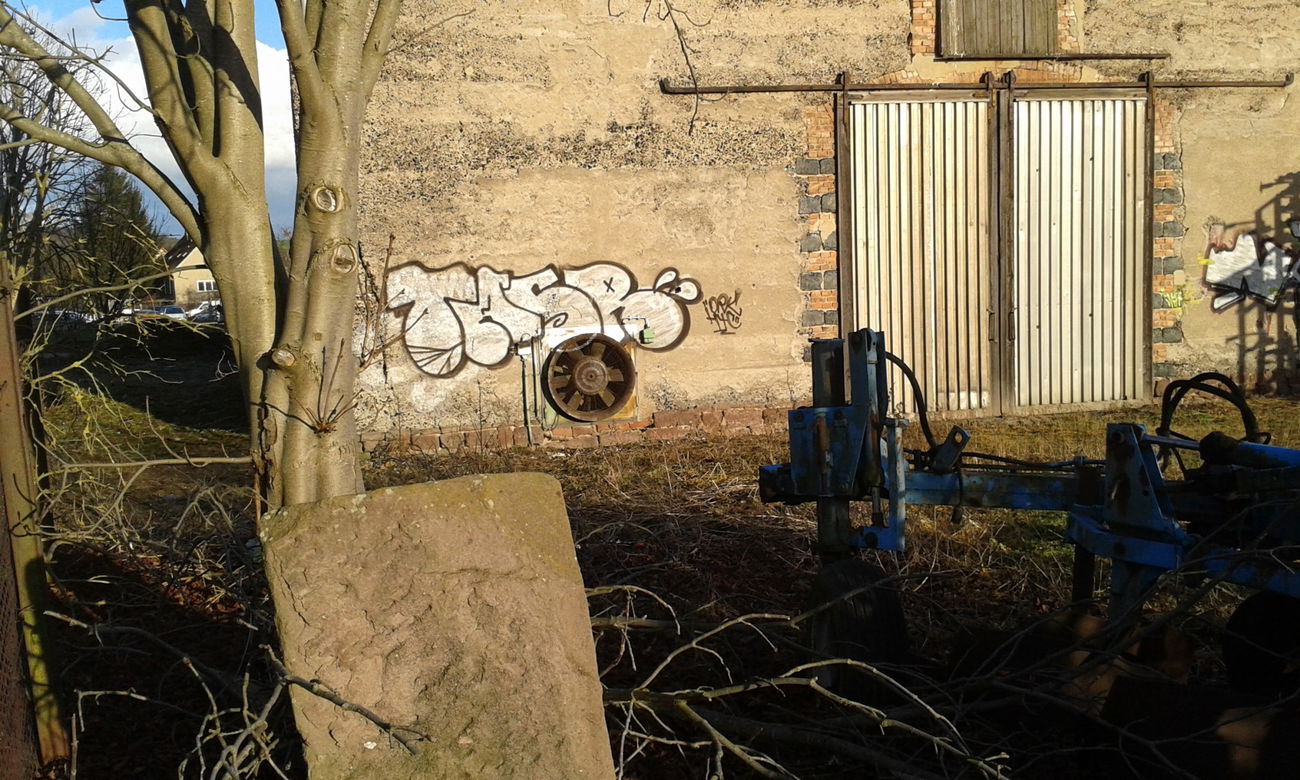 Graffiti Bombing - Photo by NoxikOKS - Tasr, TASeR, ORK (2016)