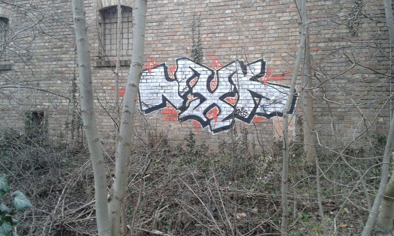 Graffiti Bombing - Photo by NoxikOKS - NXK1, OKS, Overkills (2016)