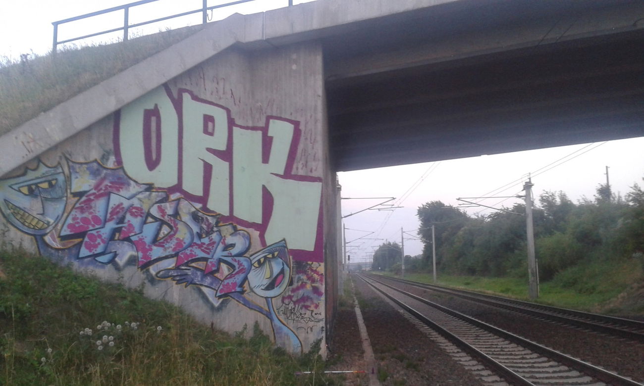 Graffiti Bombing - Photo by NoxikOKS - ORK, Taser (2015)