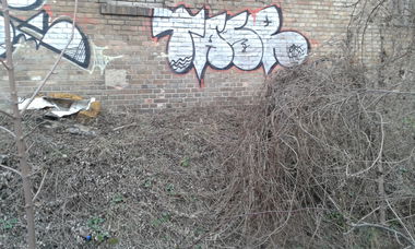 Graffiti Bombing - Photo by NoxikOKS - TASeR, Tasr, H4C (2016)