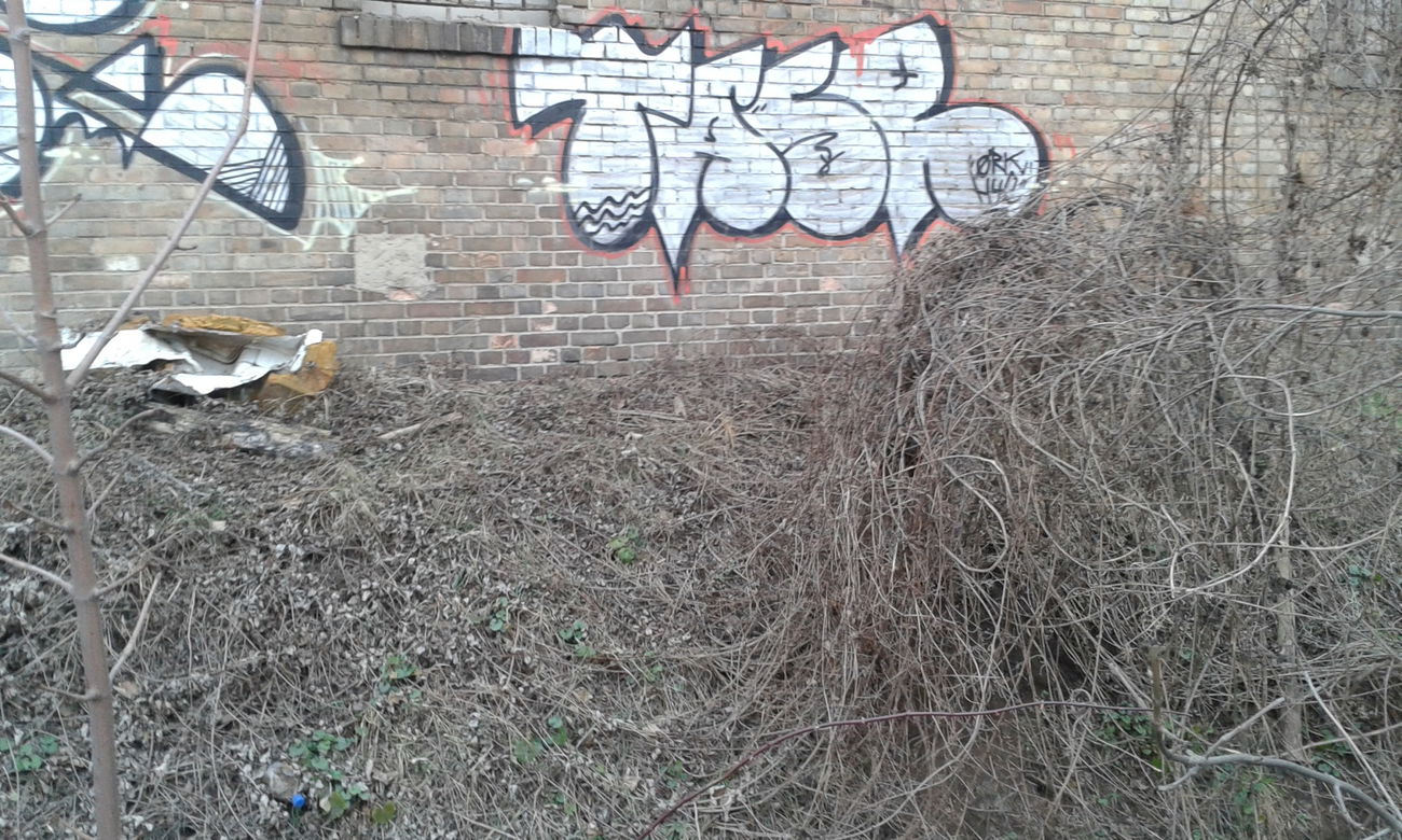 Graffiti Bombing - Photo by NoxikOKS - TASeR, Tasr, H4C (2016)