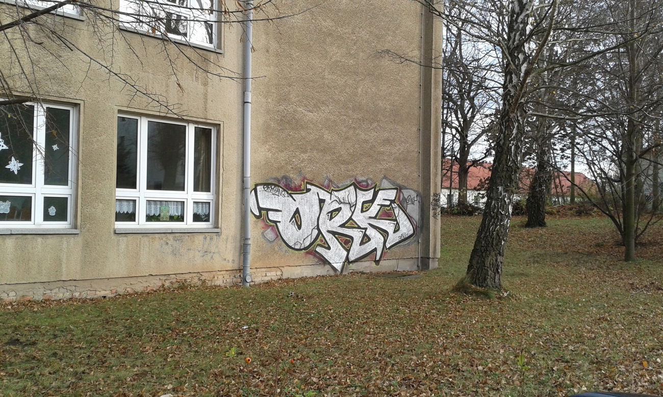 Graffiti Bombing - Photo by NoxikOKS - ORK (2015)
