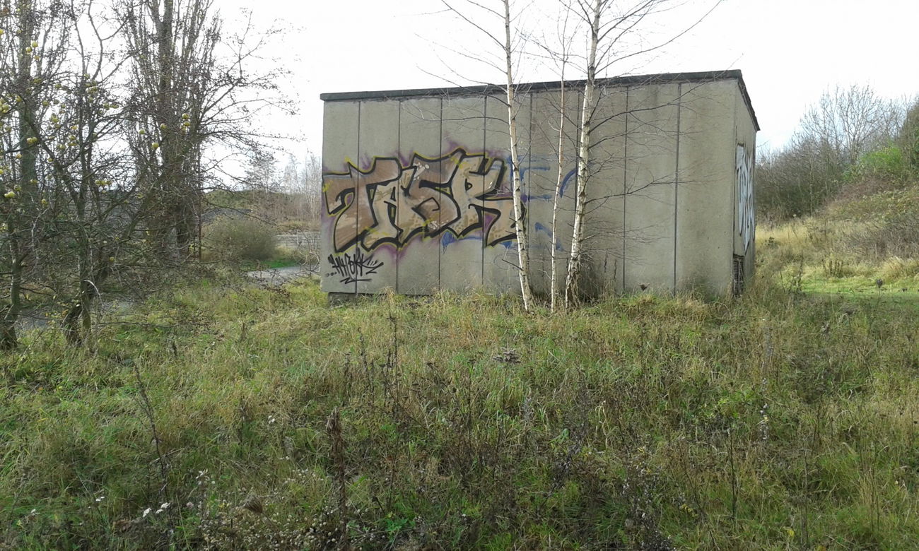 Graffiti Bombing - Photo by NoxikOKS - TASeR, H4C, ORK (2015)