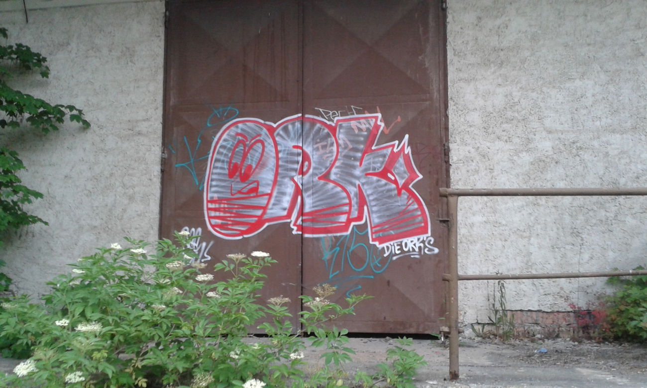 Graffiti Bombing - Photo by NoxikOKS - ORK (2015)
