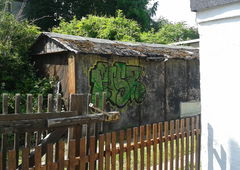 Photo #195463 by TagHagel