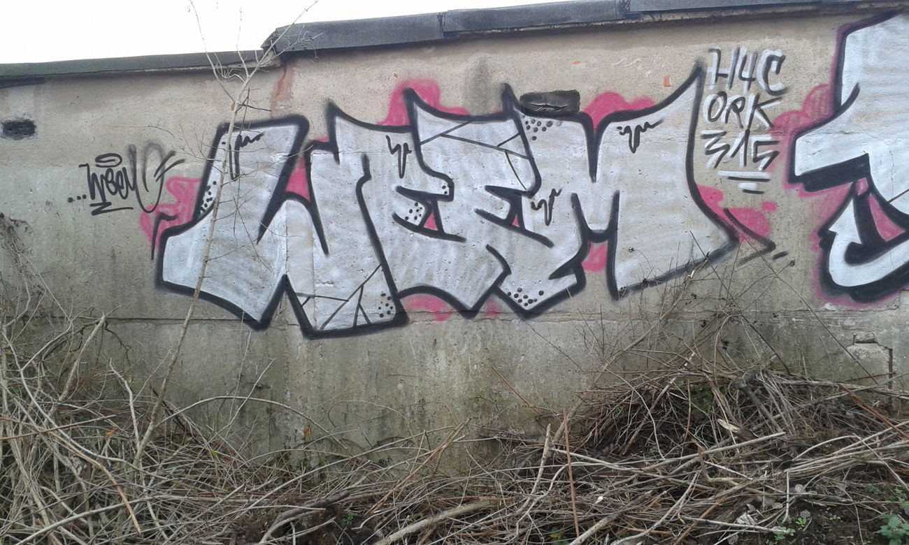 Graffiti Bombing - Photo by NoxikOKS - Weem, 315 (2015)