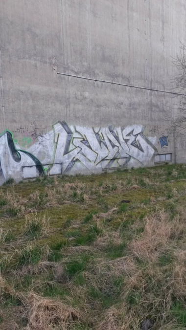 Graffiti Bombing - Photo by NoxikOKS - LINE (2009)