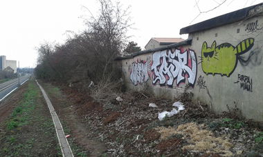 Graffiti Bombing - Photo by NoxikOKS - FurzaMiau, 315 (2015)