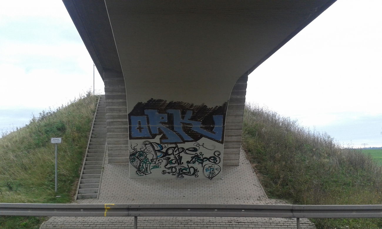 Graffiti Bombing - Photo by NoxikOKS - ORK (2015)