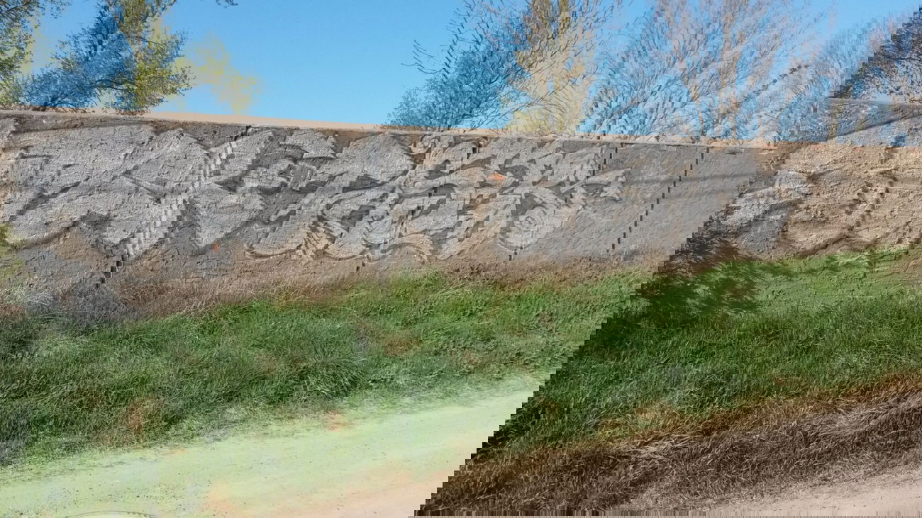 Graffiti Bombing - Photo by NoxikOKS - Butzer, Taser (2013)