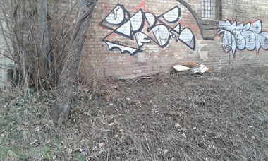 Graffiti Bombing - Photo by NoxikOKS - Erbe, H4C, 315 (2016)