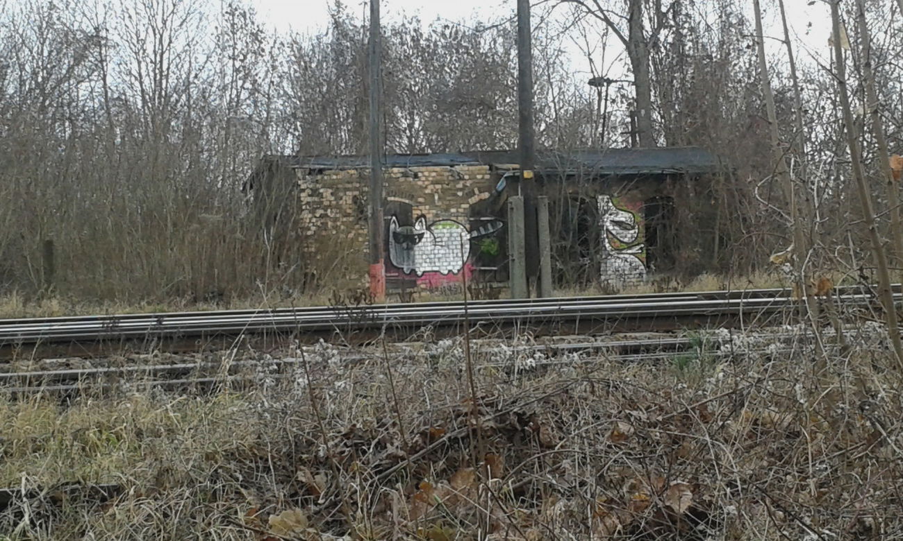 Graffiti Street Art - Photo by NoxikOKS - FurzaMiau, 315 (2015)