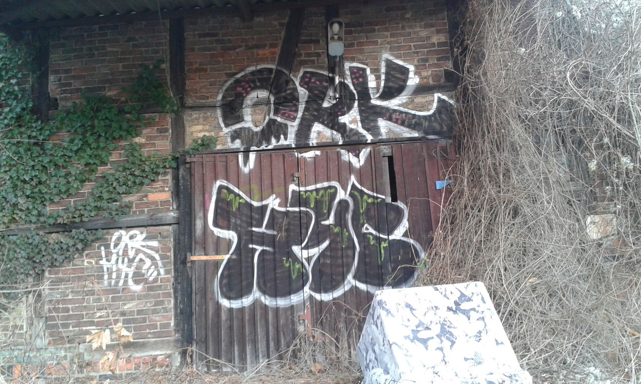 Graffiti Bombing - Photo by NoxikOKS - ORK, H4C (2015)