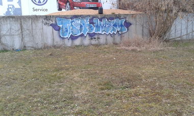 Graffiti Bombing - Photo by NoxikOKS - TASeR, Weem, 315 (2016)