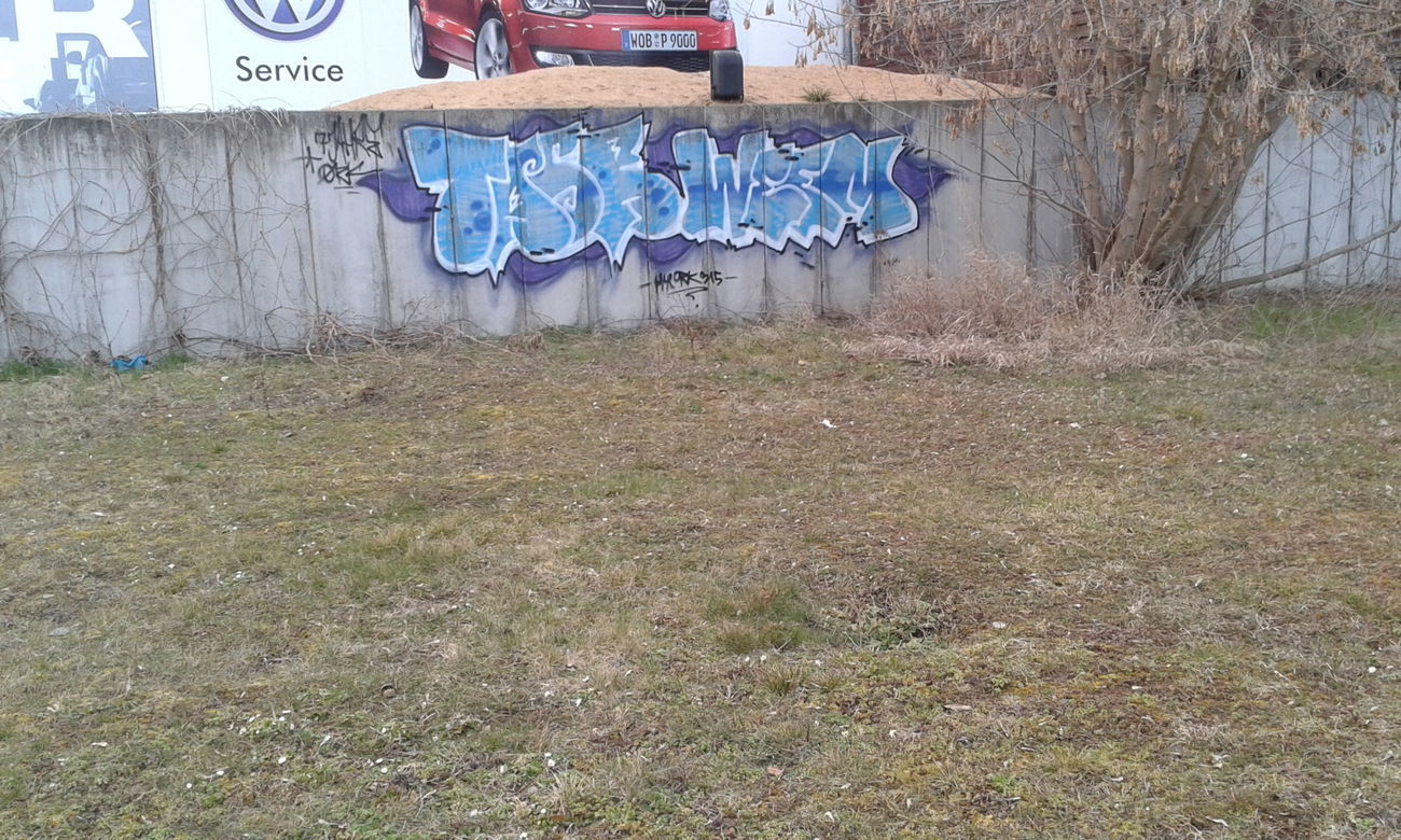 Graffiti Bombing - Photo by NoxikOKS - TASeR, Weem, 315 (2016)