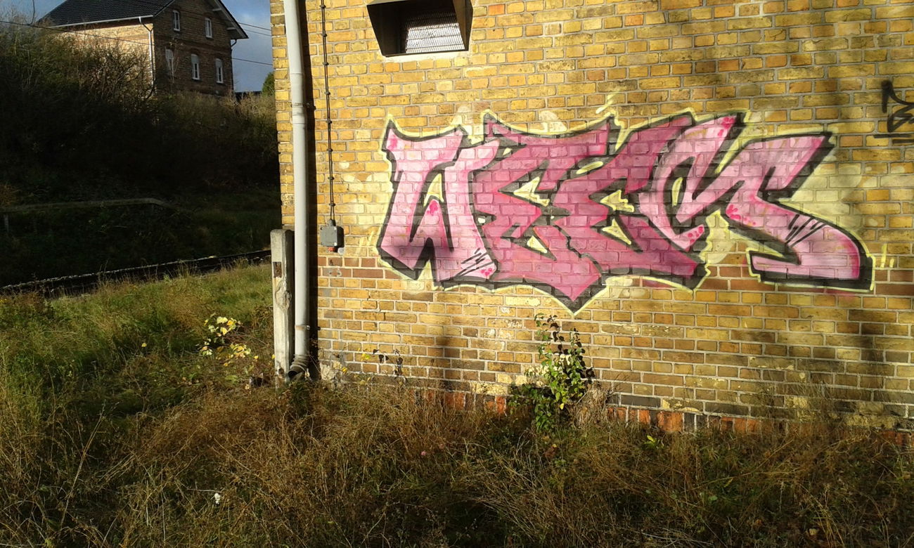 Graffiti Bombing - Photo by NoxikOKS - WeeM, 315, ORK (2015)