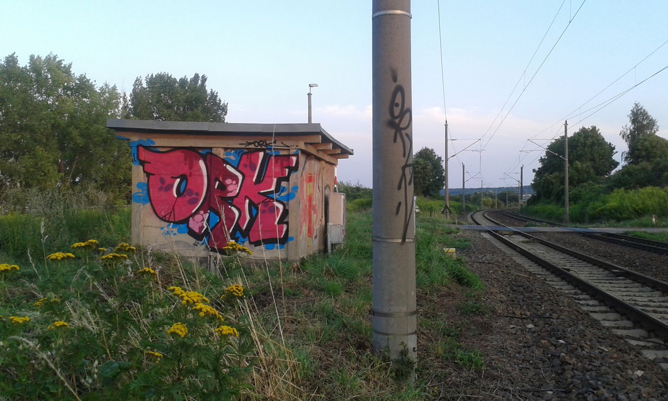 Graffiti Bombing - Photo by NoxikOKS - ORK (2015)