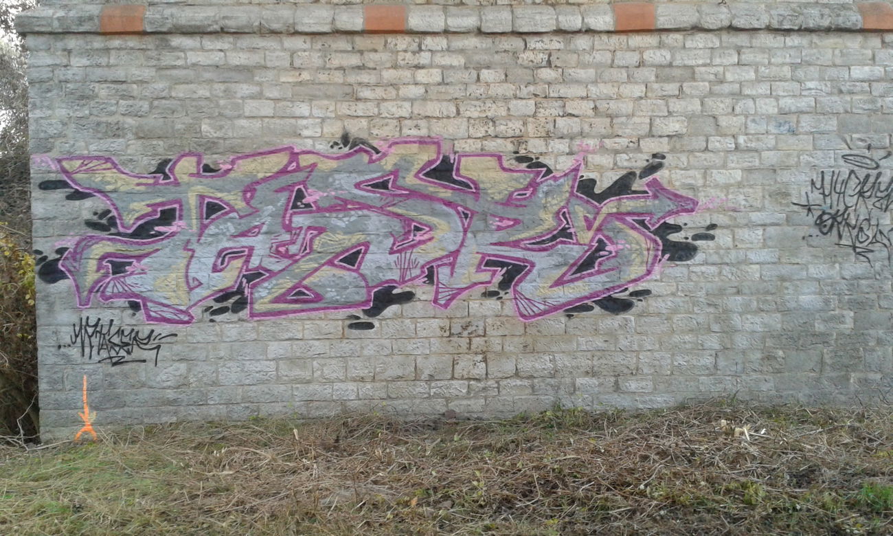 Graffiti Bombing - Photo by NoxikOKS - TASeR, H4C, ORK (2015)