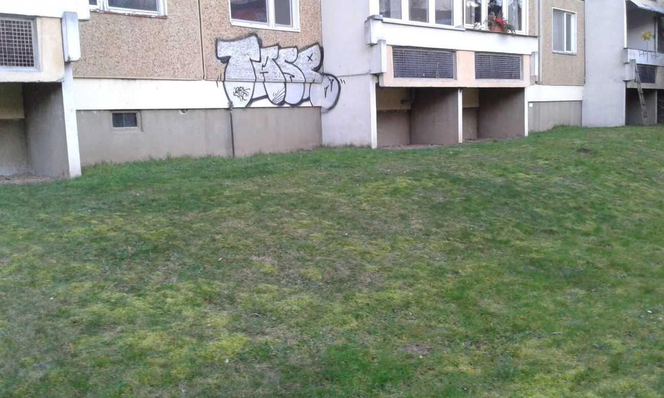 Graffiti Bombing - Photo by NoxikOKS - Tasr, Taser, H4C (2016)