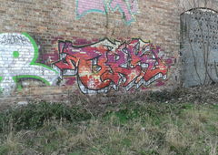 Photo #185464 by Homs