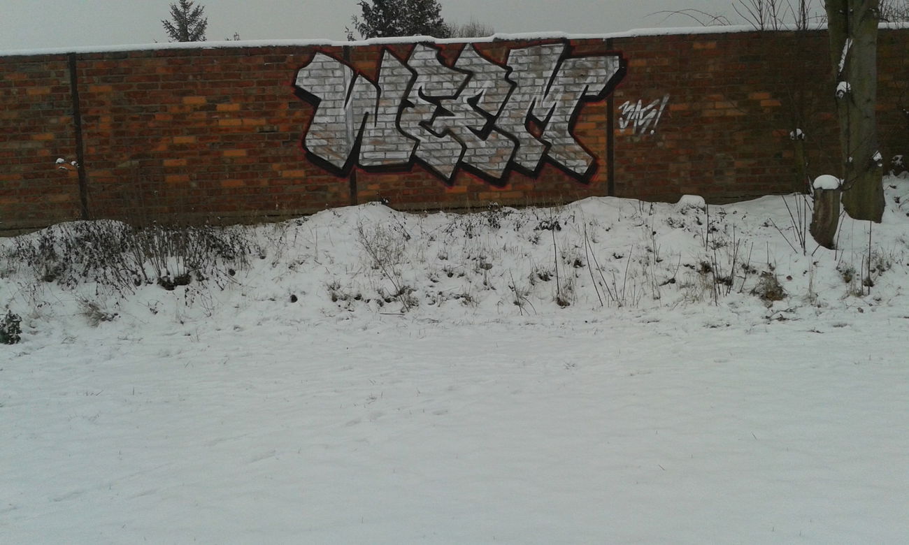 Graffiti Bombing - Photo by NoxikOKS - Weem, 315 (2015)