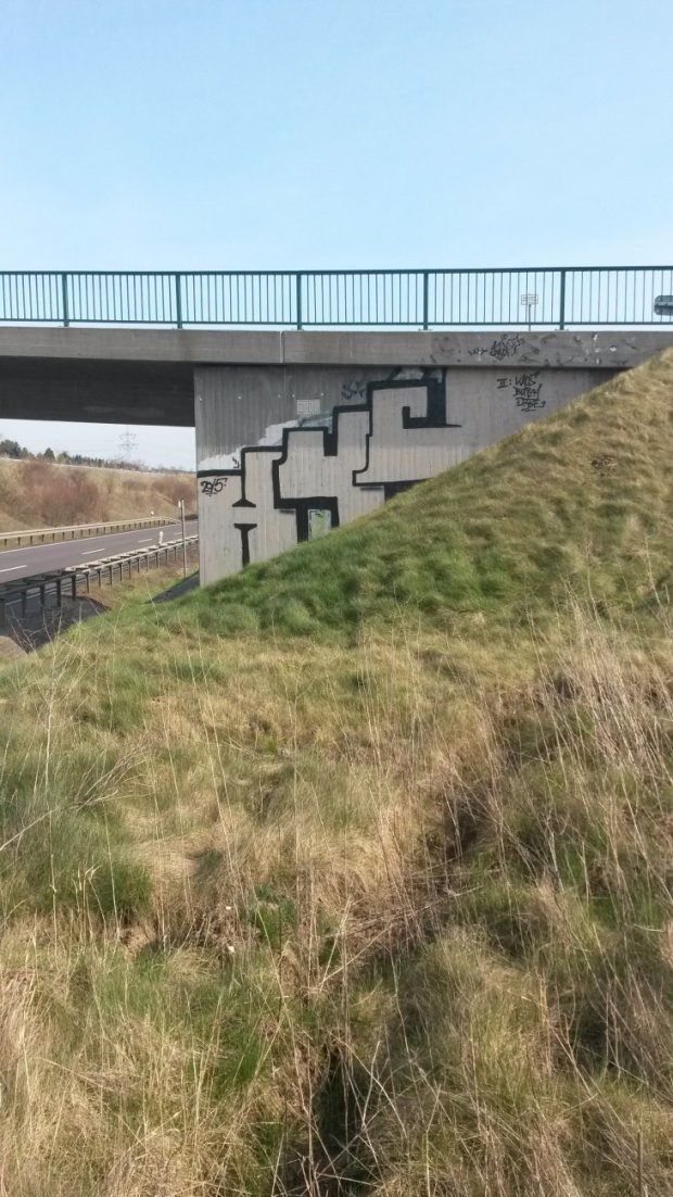 Graffiti Bombing - Photo by NoxikOKS - H4C (2015)