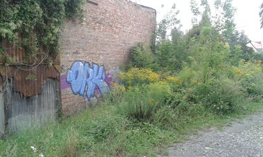 Graffiti Bombing - Photo by NoxikOKS - ORK (2015)
