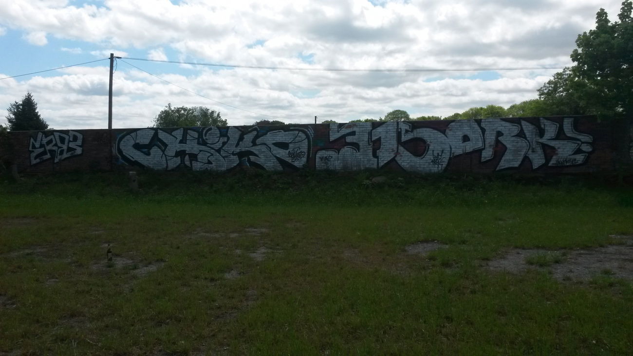 Graffiti Bombing - Photo by NoxikOKS - Erbe_H4C, Chiko, 315