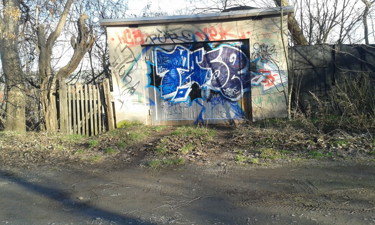 Graffiti Bombing - Photo by NoxikOKS - Tasr, TASeR, ORK (2016)