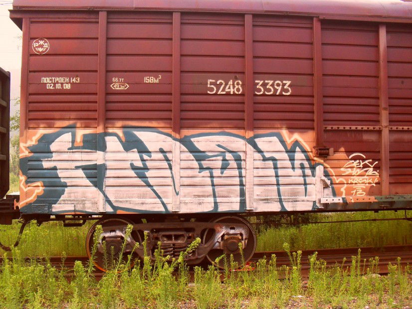 Graffiti Train - Photo by Null