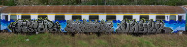 Graffiti Train - Photo by NupzerOne (2014)