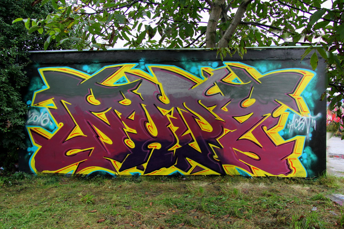 Graffiti Wall - Photo by NupzerOne - primer, paint (2016)