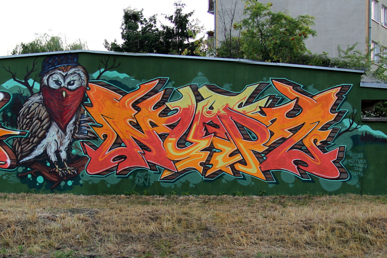 Graffiti Wall - Photo by NupzerOne - Mielec, Jam, 2016 (2016)