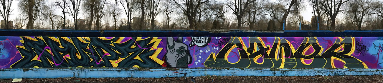 Graffiti Wall - Photo by NupzerOne (2016)