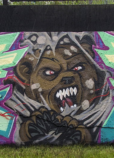 Graffiti Wall - Photo by NupzerOne - Bear, HARDCOLORZ, Kielce (2016)
