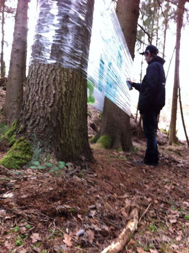 Graffiti Artwork - Photo by NuseOne - frischhalteaction, wald, crew (2014)