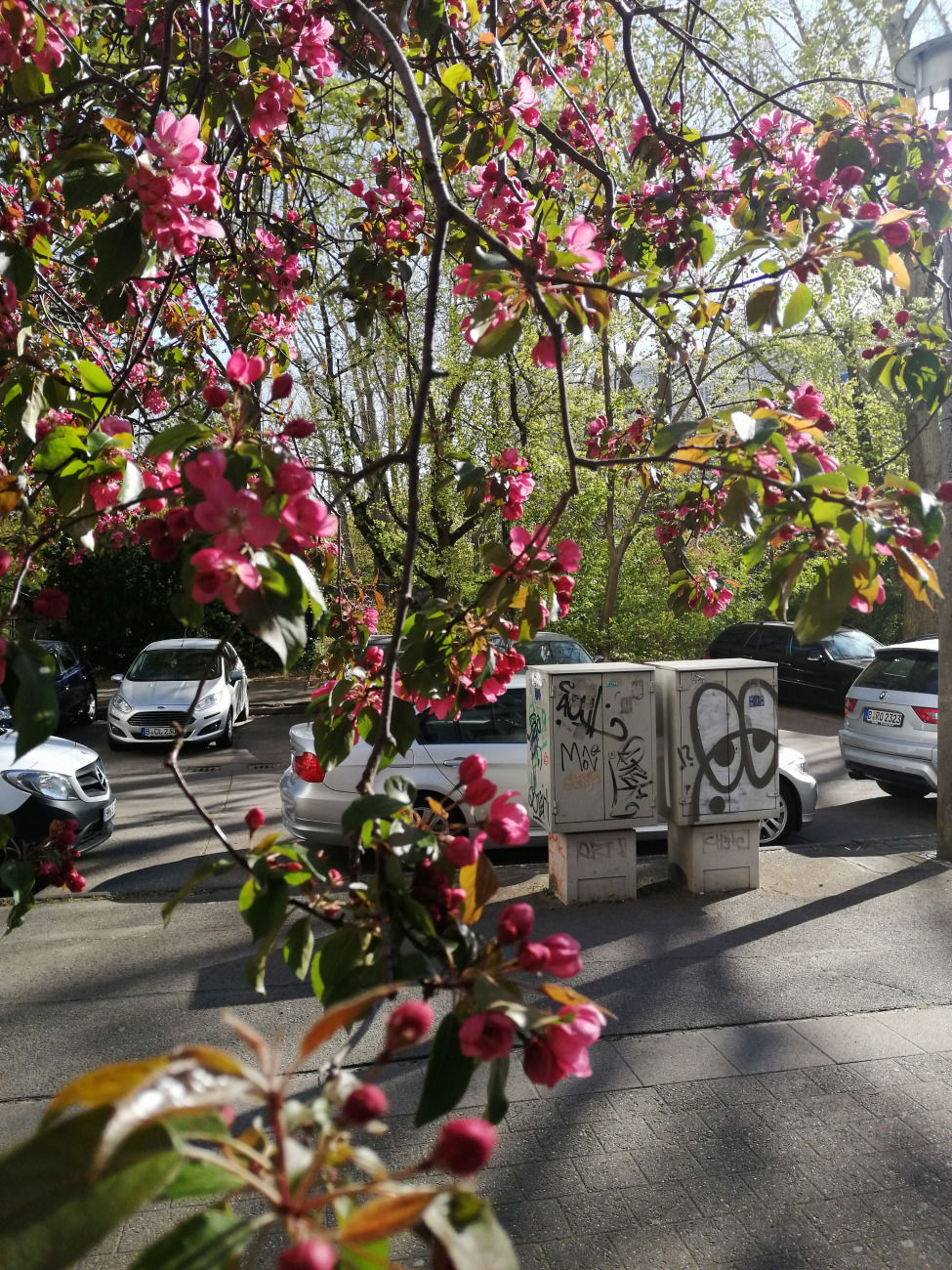 Graffiti Street Art - Photo by OBARERBSE030 - streetart, berlingraffiti (2005)