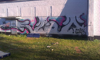 Graffiti Bombing - Photo by ODWALSIE - VOA (2013)