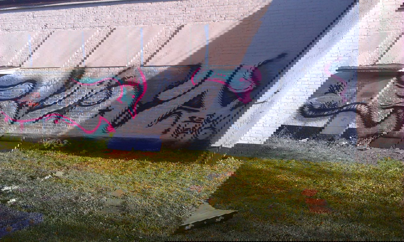 Graffiti Bombing - Photo by ODWALSIE - VOA (2013)