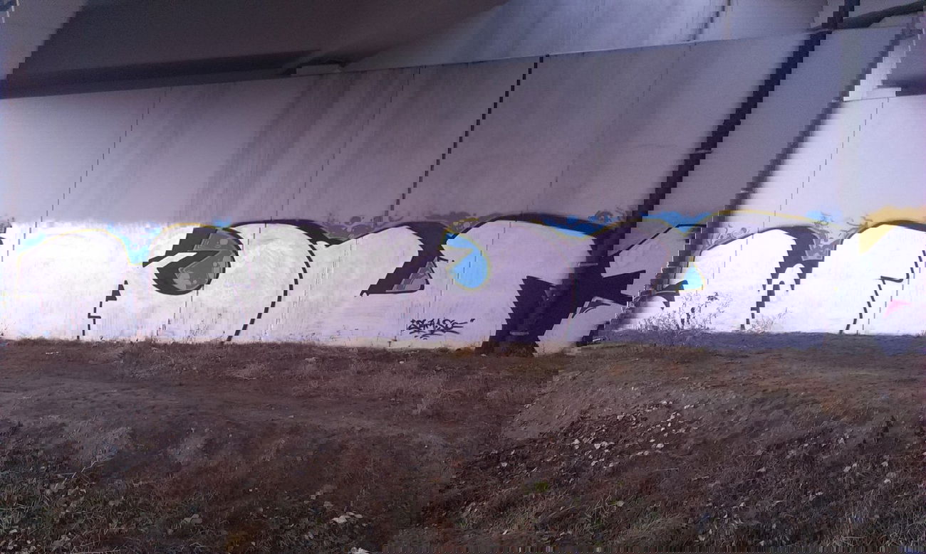 Graffiti Bombing - Photo by ODWALSIE - WKU, VOA, SEIM (2013)