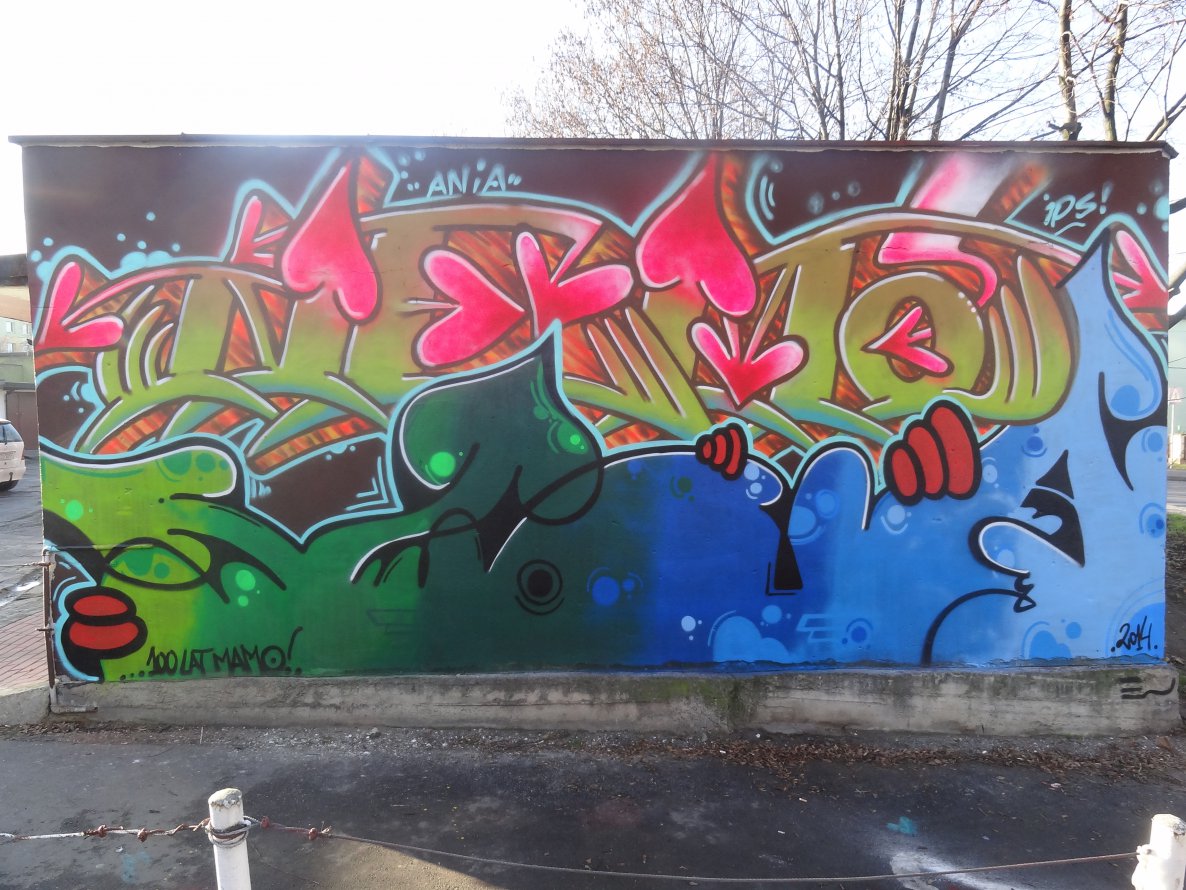 Graffiti Wall - Photo by ODWALSIE - VOA, NEMO, SEIM (2014)