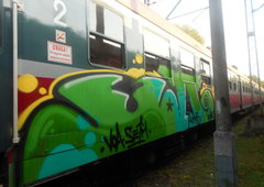 Photo #87098 by rasexone1