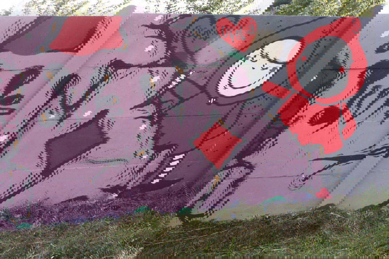 Graffiti Wall - Photo by OFELIA - brescia, ofelia (2011)