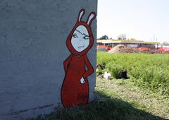 Photo #45143 by TagHagel